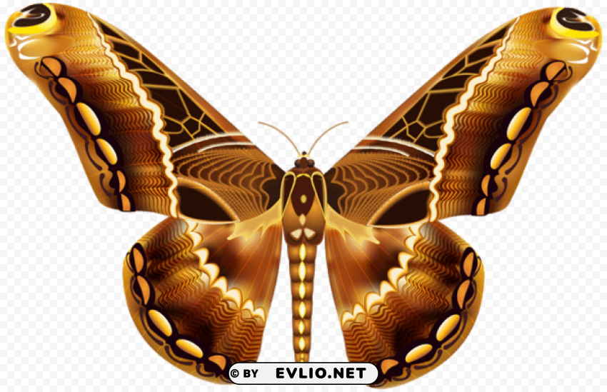 beautiful brown butterfly HighQuality Transparent PNG Isolated Element Detail