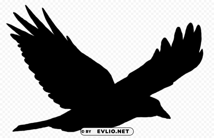 bird silhouette solo flying PNG clipart with transparency