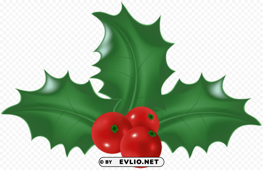 holly mistletoe Free PNG images with transparent background