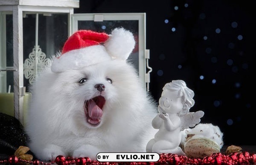 holydaywith puppy PNG Image with Transparent Isolation