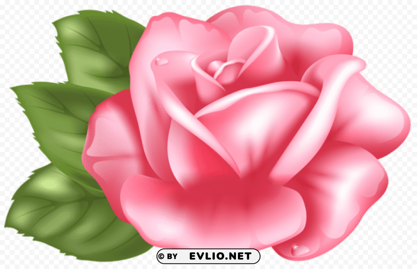 PNG image of pink rose Transparent Background PNG Isolated Item with a clear background - Image ID fa9996cb