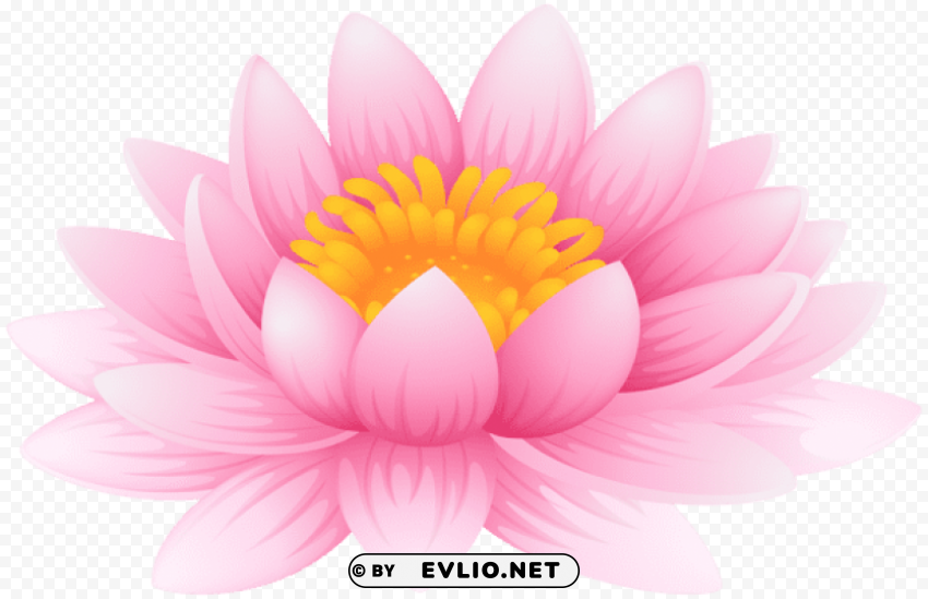 water lily PNG images for advertising