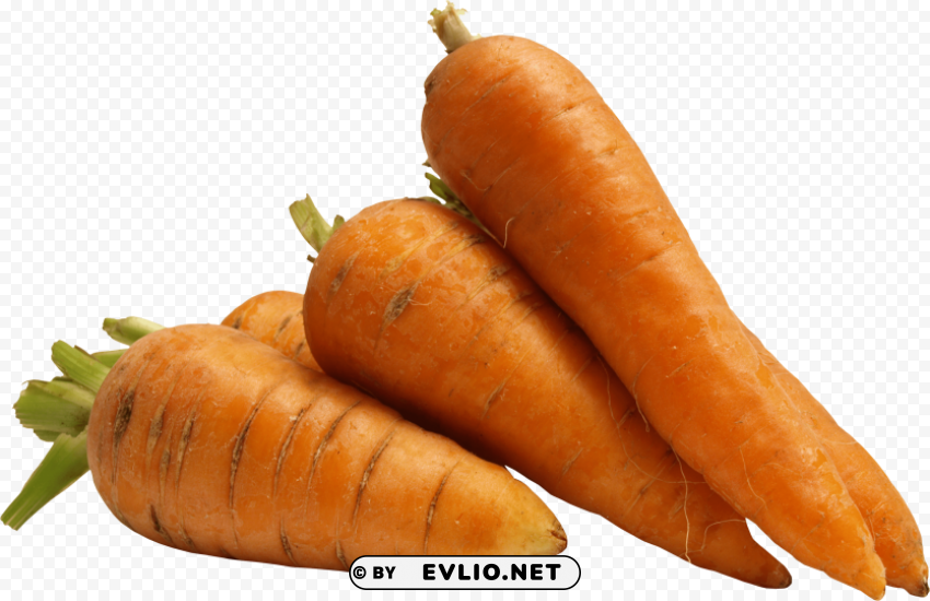 carrot PNG pictures without background
