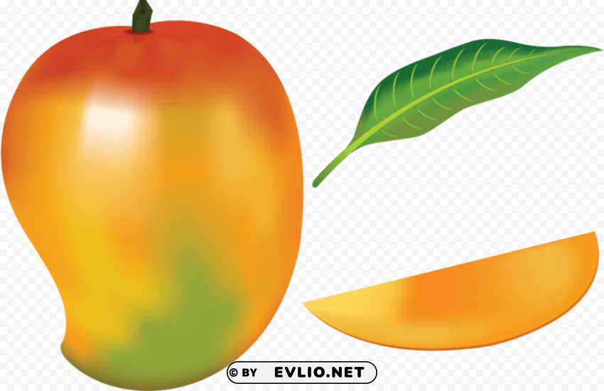 drawing of a mango fruit Free PNG images with alpha channel variety