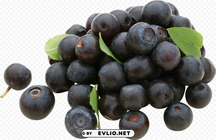 blueberries Free download PNG images with alpha channel diversity