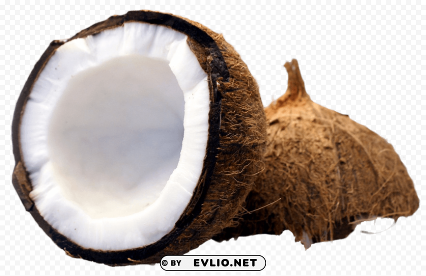 Coconut Cut in Half Isolated Graphic on Clear Transparent PNG