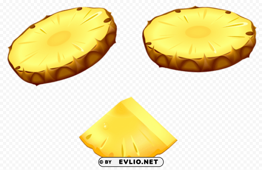 pineapple slices vector ClearCut PNG Isolated Graphic