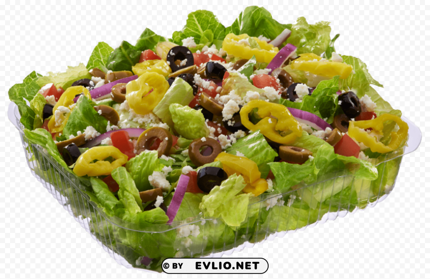 salad Transparent Background PNG Isolated Icon
