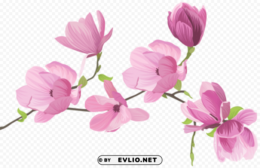 spring tree flowers PNG images free