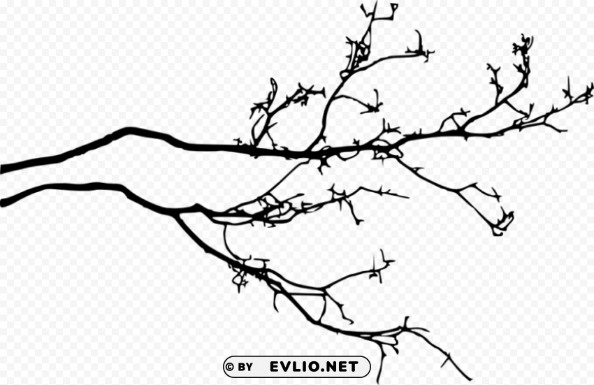 tree branch silhouette Transparent PNG artworks for creativity