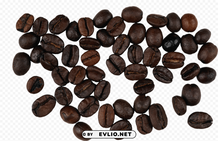 coffee beans Isolated Element in HighQuality PNG