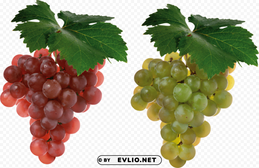 grapes Transparent PNG Graphic with Isolated Object