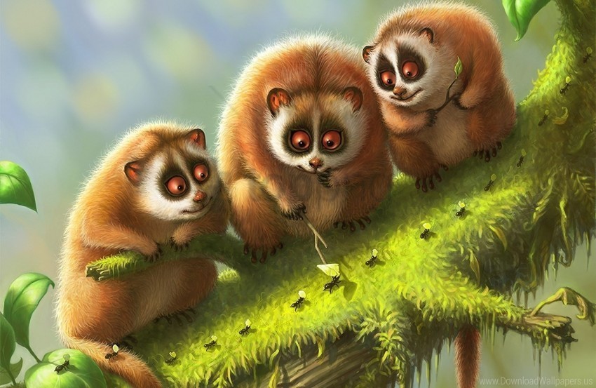 animals branch lemur lemurs moss wallpaper PNG Graphic with Isolated Transparency