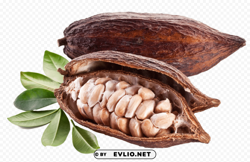 cacao with bones Transparent PNG Isolated Element