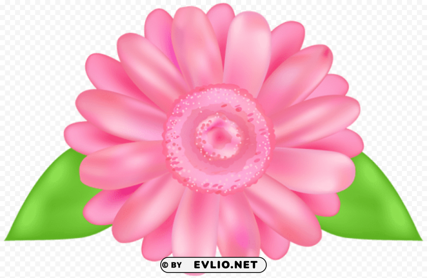 flower pink decorative transparent PNG no watermark