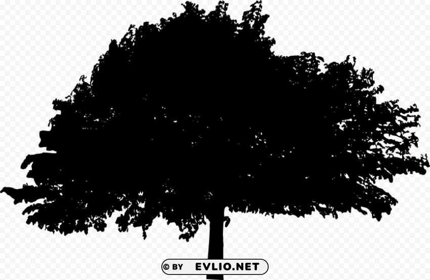 tree silhouette Isolated Subject in HighQuality Transparent PNG