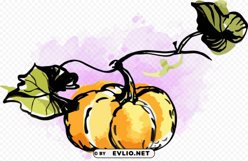 watercolour pumpkin HighQuality Transparent PNG Isolated Graphic Element