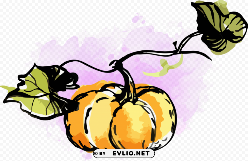 Watercolour Pumpkin HighQuality Transparent PNG Isolated Graphic Element