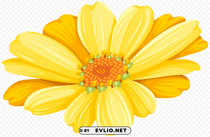 yellow daisy Isolated Object on HighQuality Transparent PNG