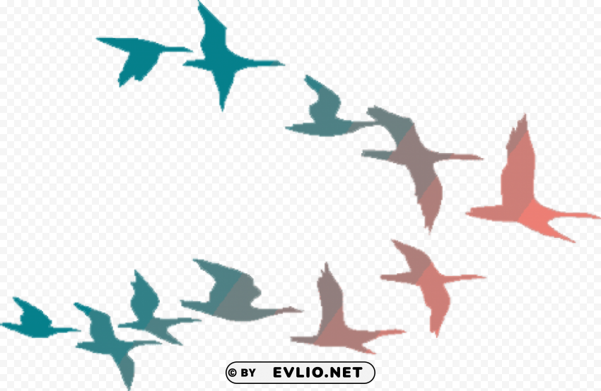 colorful flying birds PNG images with no royalties