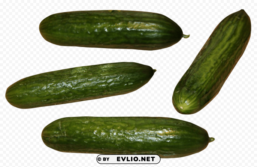 Cucumber PNG graphics with clear alpha channel broad selection