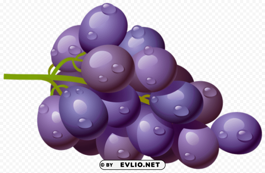 Grapepicture Isolated Subject In HighResolution PNG