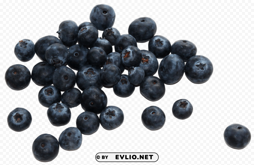 Group of Fresh Blueberries Isolated Design Element in HighQuality PNG