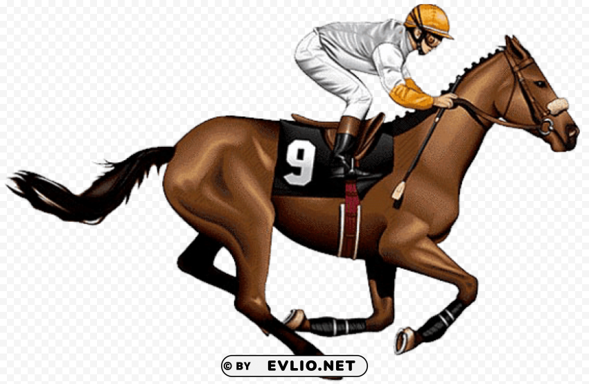 race horse side view PNG graphics with alpha channel pack