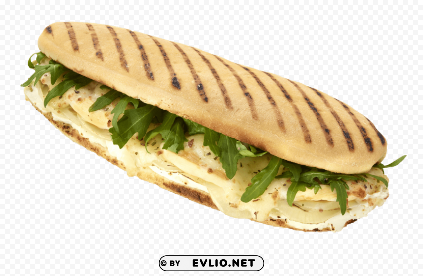 sandwhich PNG Graphic Isolated with Clarity