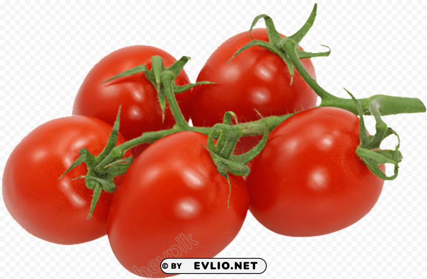 spanish tomatoes Transparent PNG images for printing