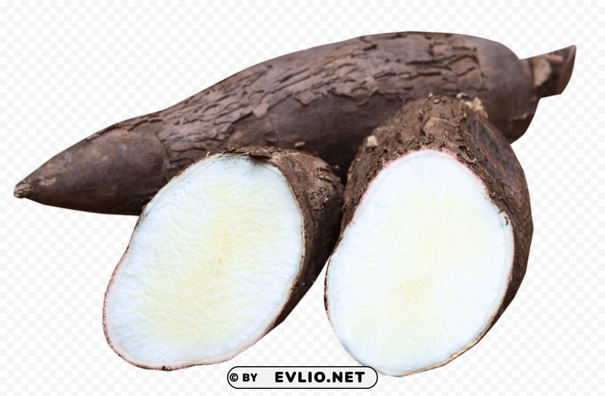 cassava PNG Graphic with Isolated Transparency