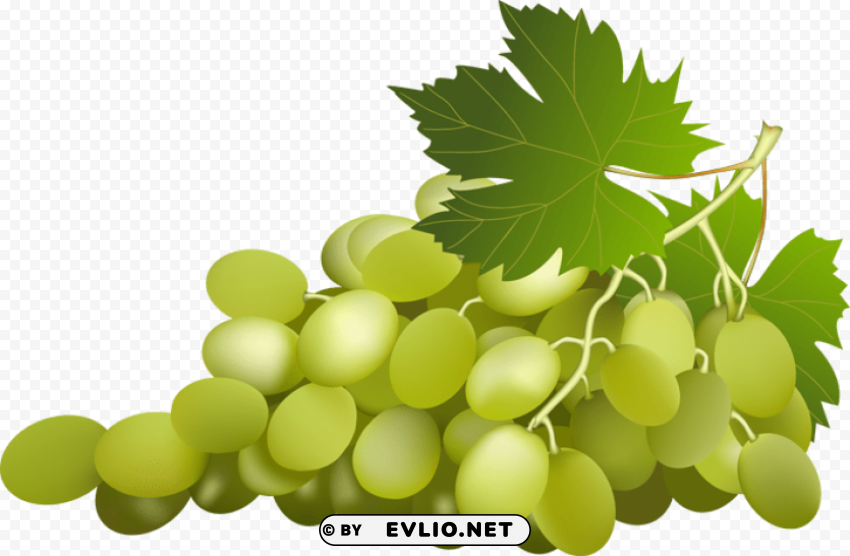 green grapes clip art PNG for web design