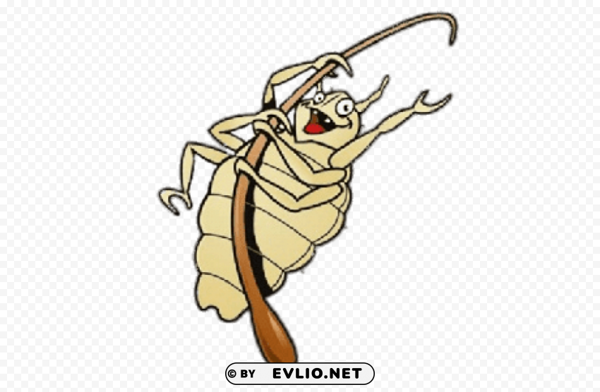 head louse fun illustration Isolated Object on Transparent PNG