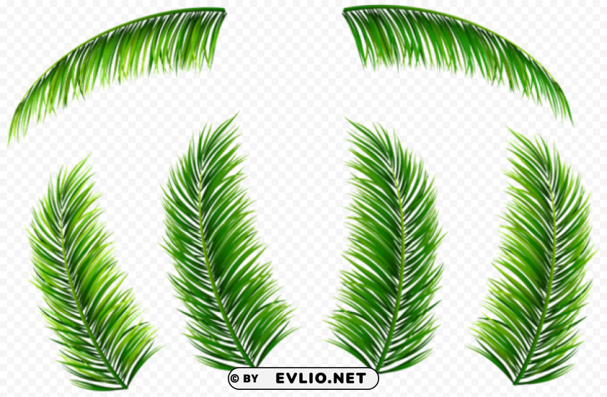 palm leaves Isolated Subject with Clear PNG Background clipart png photo - af8d7e83