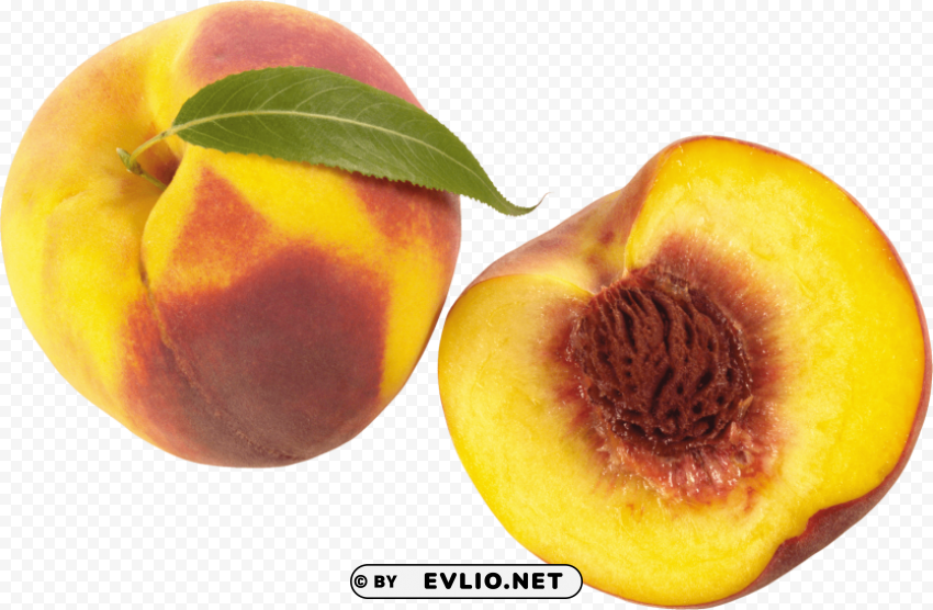peach Clear Background PNG Isolated Subject