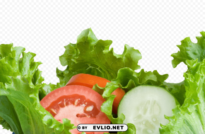 salad Transparent background PNG images selection