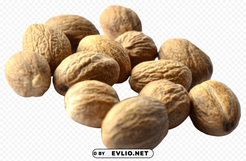 Walnut PNG Graphic Isolated on Clear Background Detail