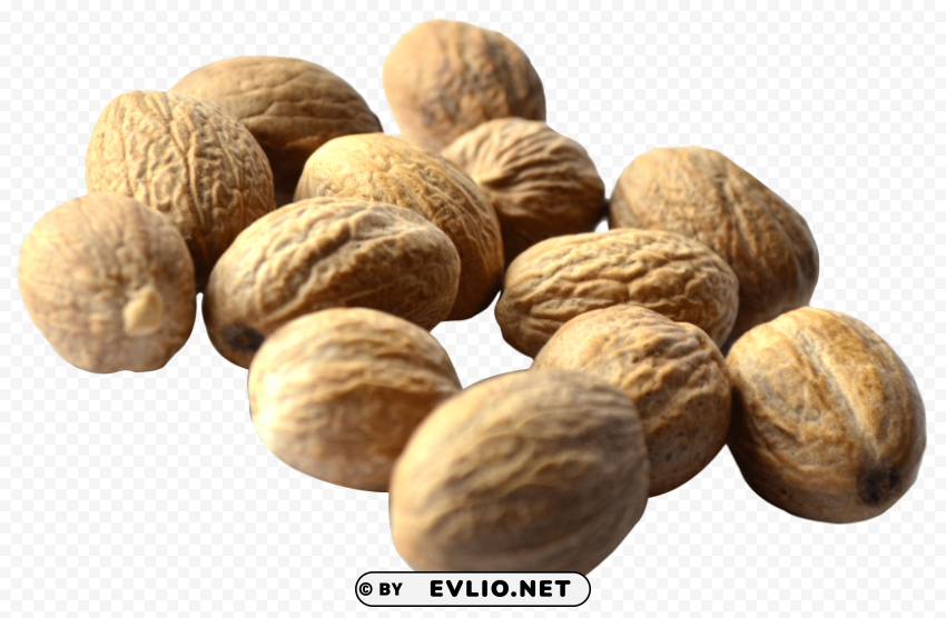 walnut Isolated Design Element in PNG Format