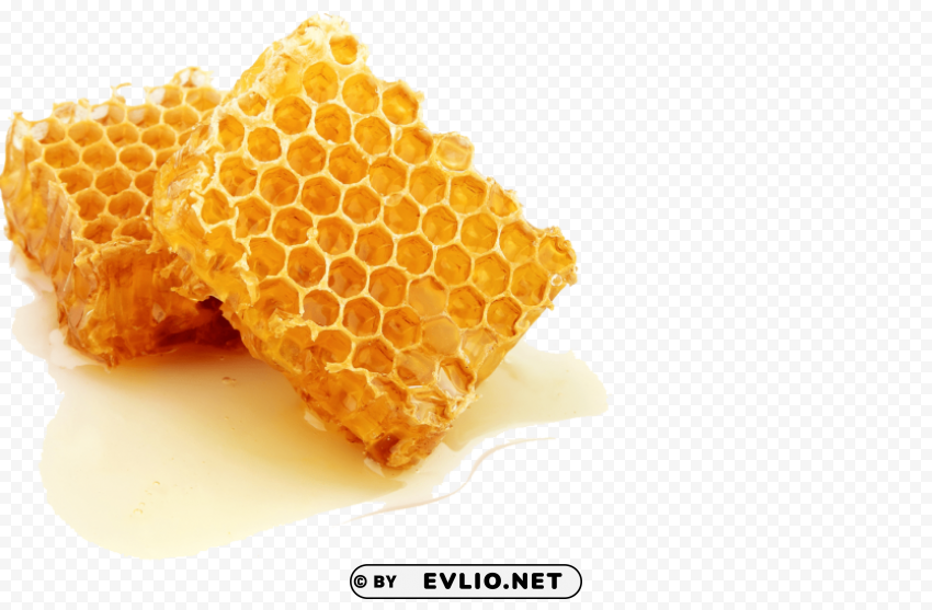 honey PNG with cutout background PNG images with transparent backgrounds - Image ID b9040b5d