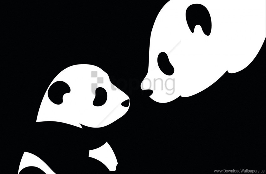 black drawing panda white wallpaper High-resolution PNG images with transparency