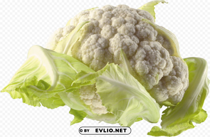 cauliflower HighQuality PNG with Transparent Isolation