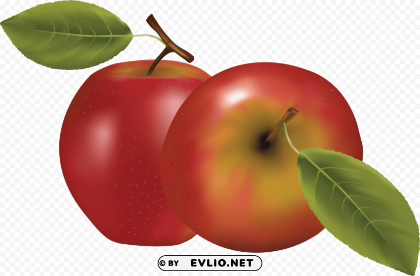 red apple Transparent background PNG gallery clipart png photo - 4e3f3a09