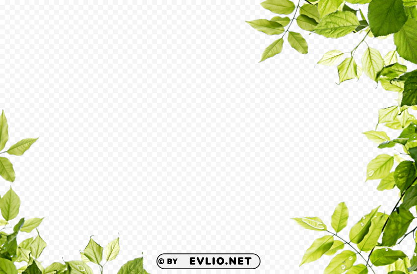 green leaves HighQuality Transparent PNG Isolated Artwork clipart png photo - a715bd72