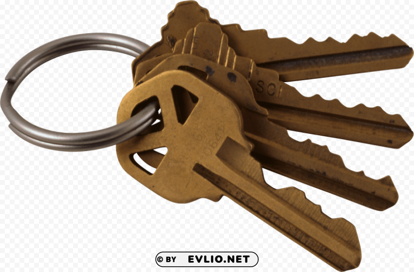 Transparent Background PNG of key's PNG transparent photos vast variety - Image ID 38418c58