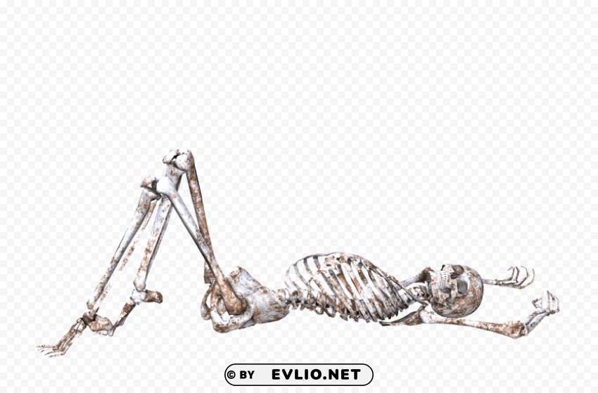 skeleton lying on back Isolated Object in HighQuality Transparent PNG