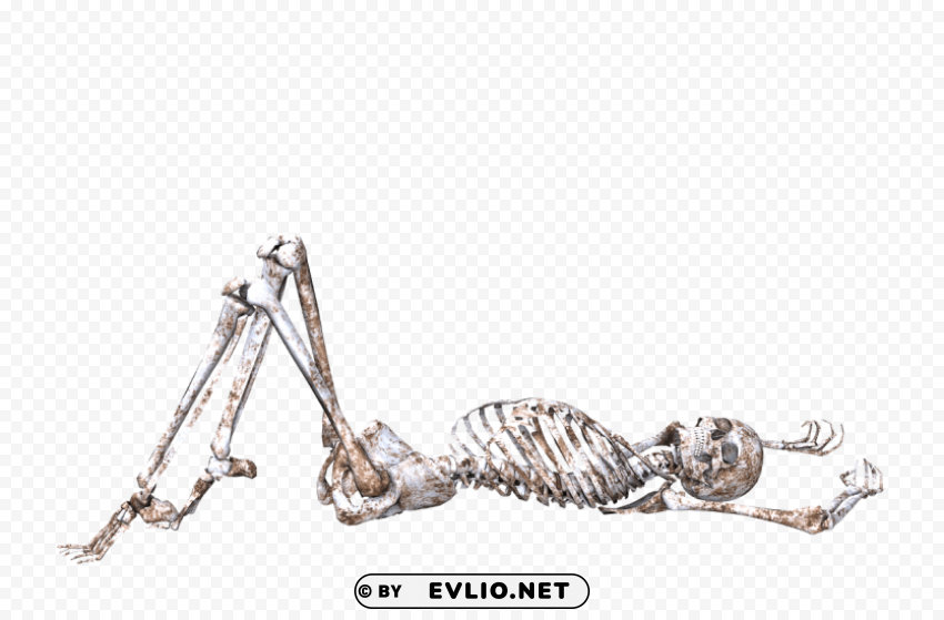 Transparent background PNG image of skeleton lying on back Isolated Object in HighQuality Transparent PNG - Image ID 95f32ed8