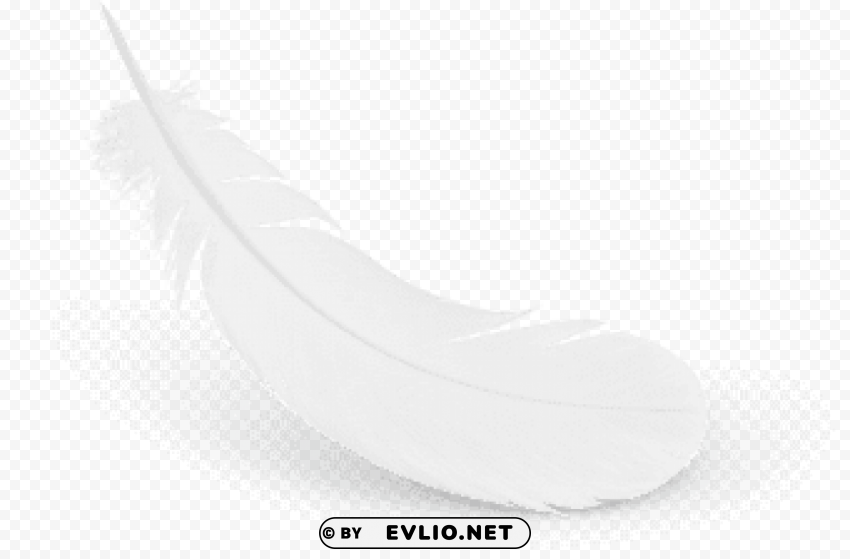white feaher trabsparent small simple PNG Image with Clear Background Isolated clipart png photo - 54cd6642