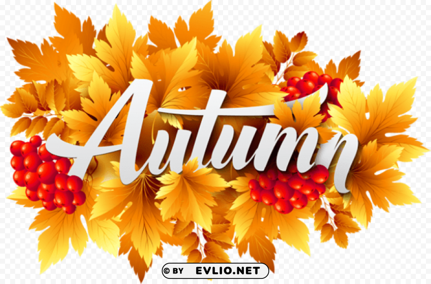 Autumn Decorative PNG Free Transparent