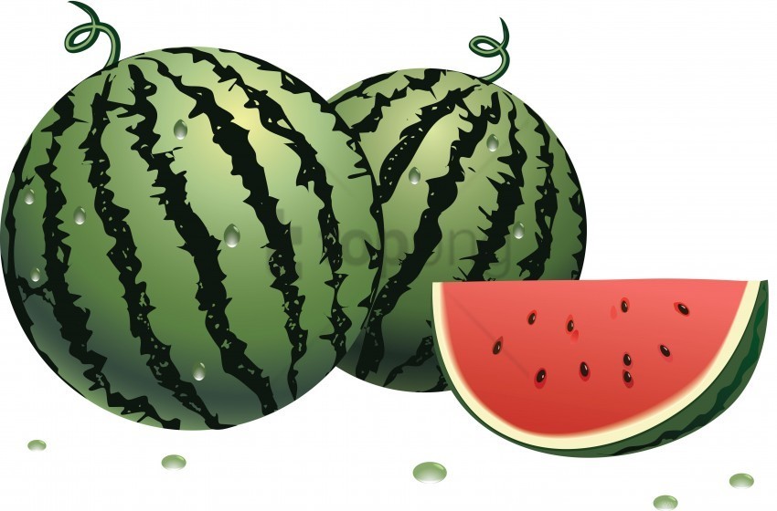 berries colorful drawing watermelon wallpaper PNG high quality
