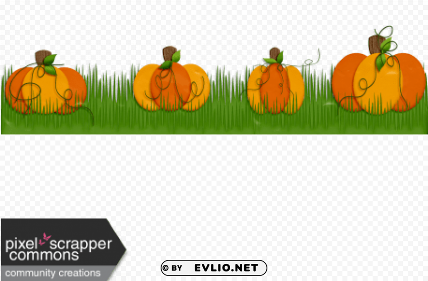 pumpkin patch boarder Isolated Graphic with Transparent Background PNG
